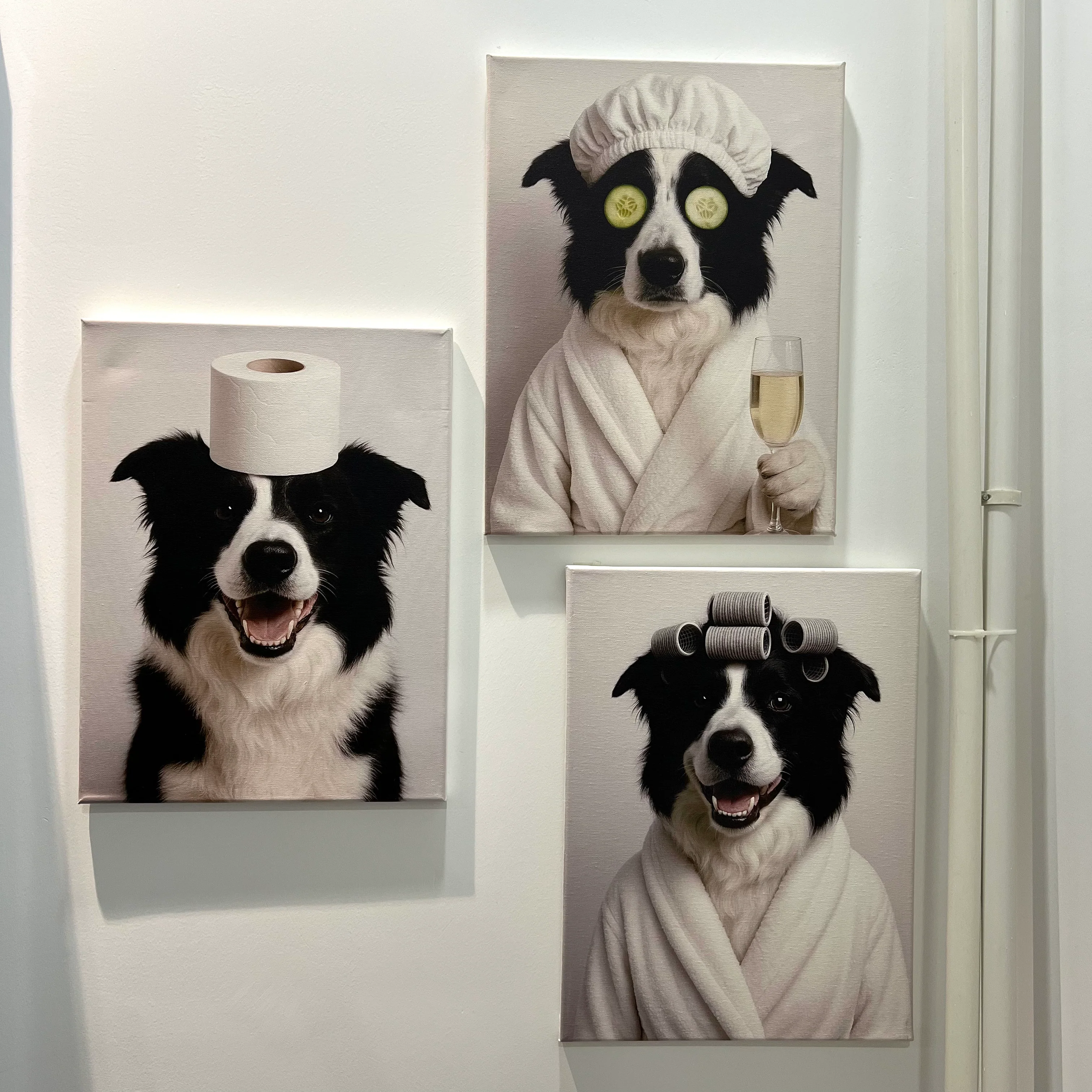 Custom Fun Pet Bathroom Wall Art Colorful Edition - Image 3