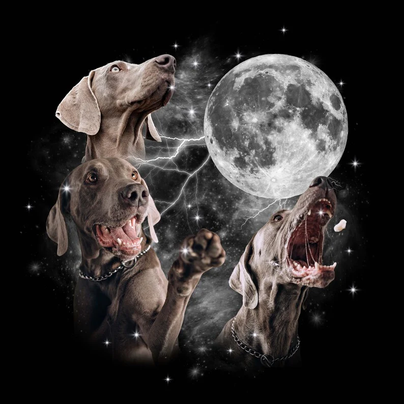 Custom Pet Moon Shirts, Memorial Gifts For Pet Lovers - Image 4