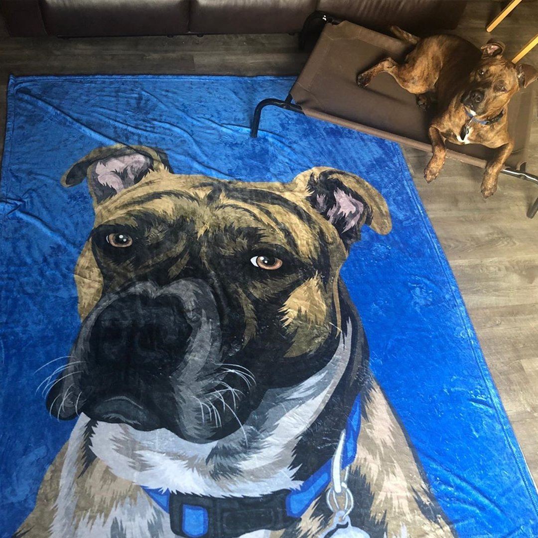 Your Pet on a Blanket - Image 14
